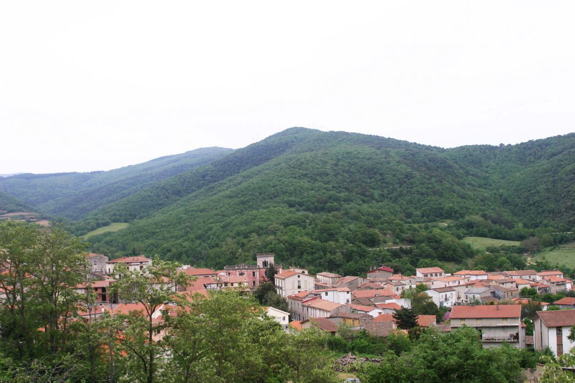 Sorgono
